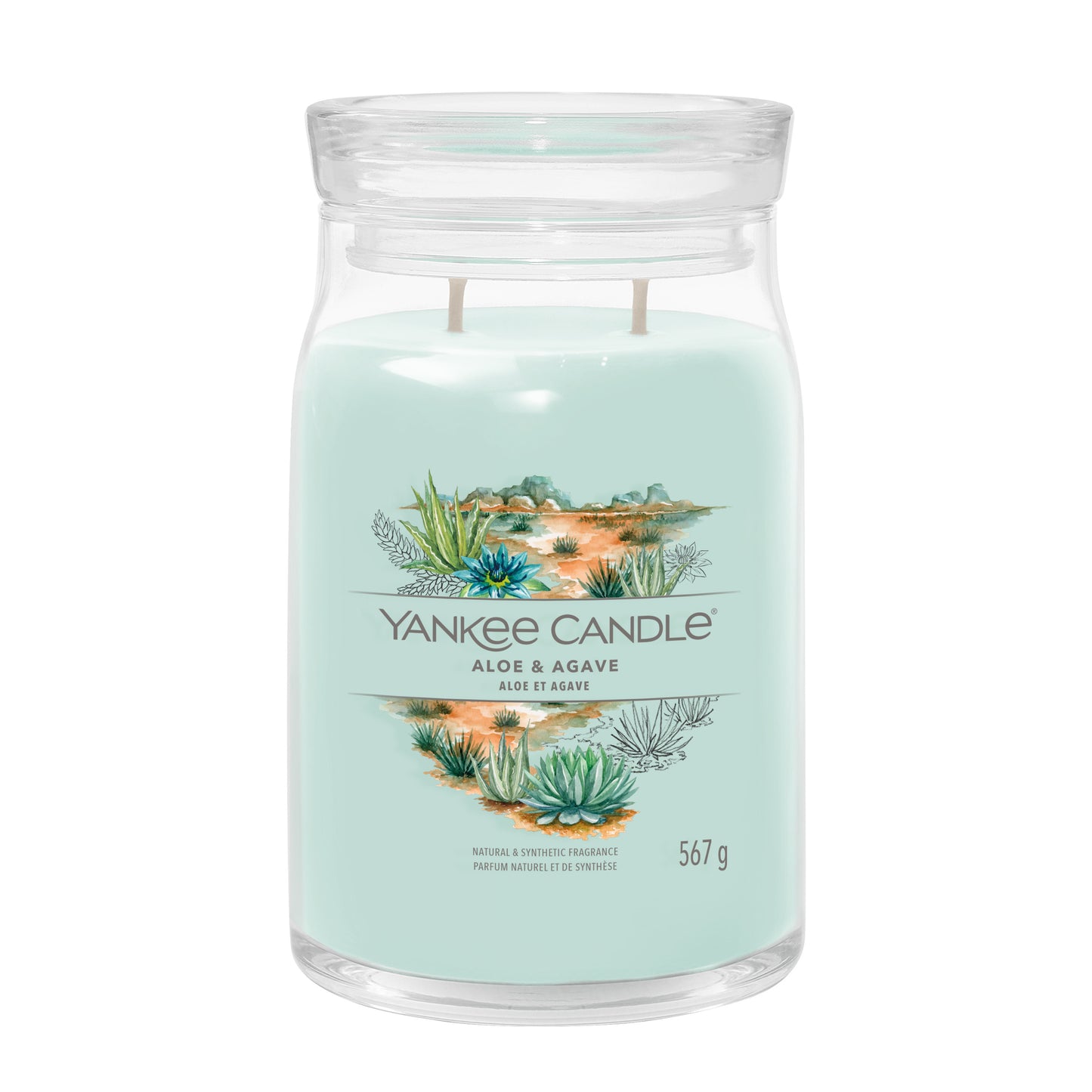 Yankee Candles Aloe & Agave